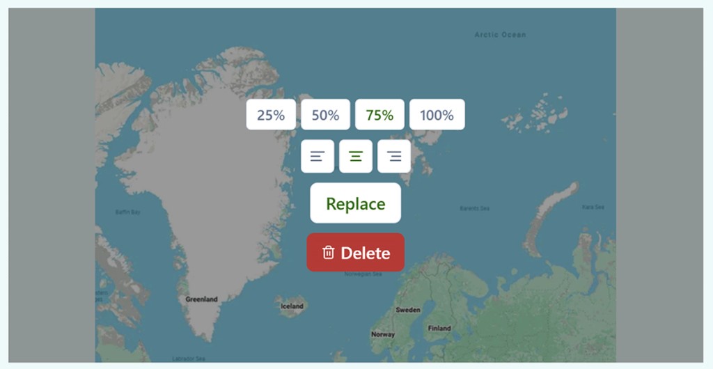 Email editor image controls showing size presets 25%, 50%, 75%, 100%, alignment icons, Replace button, and Delete button